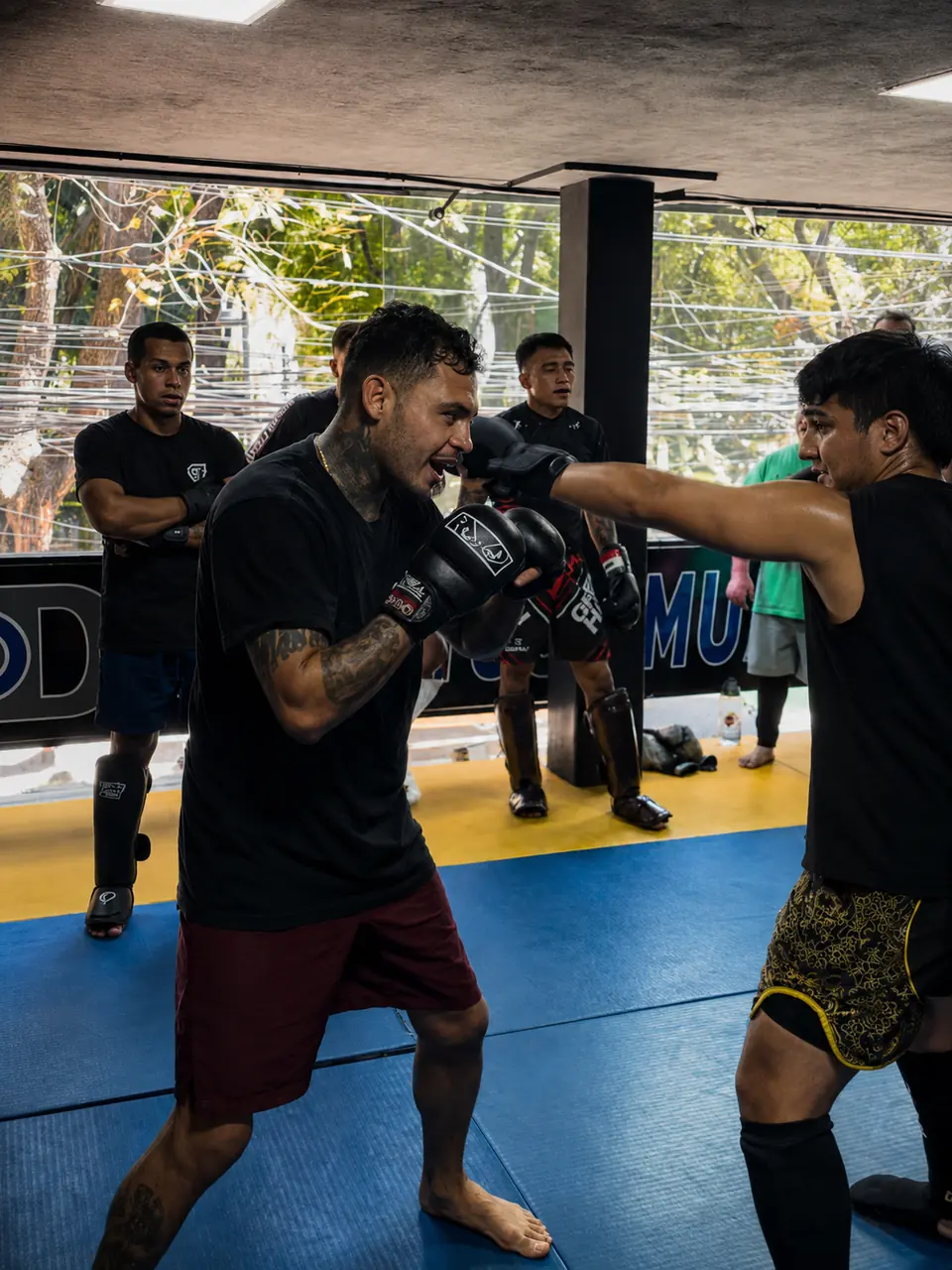 MMA en MD Condesa